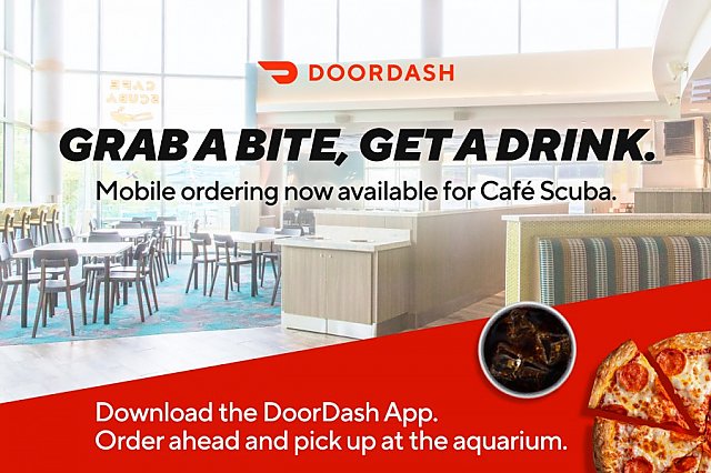 Order food ahead pick up later in Cafe Scuba with the Door Dash app