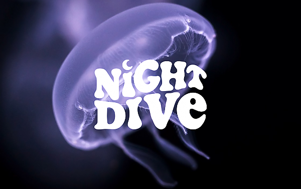 Night Dive logo featuring a crescent moon imposed over an image of a moon jelly floating through water