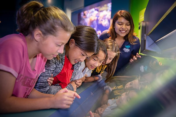 children with an educator look excitedly into an exhibit