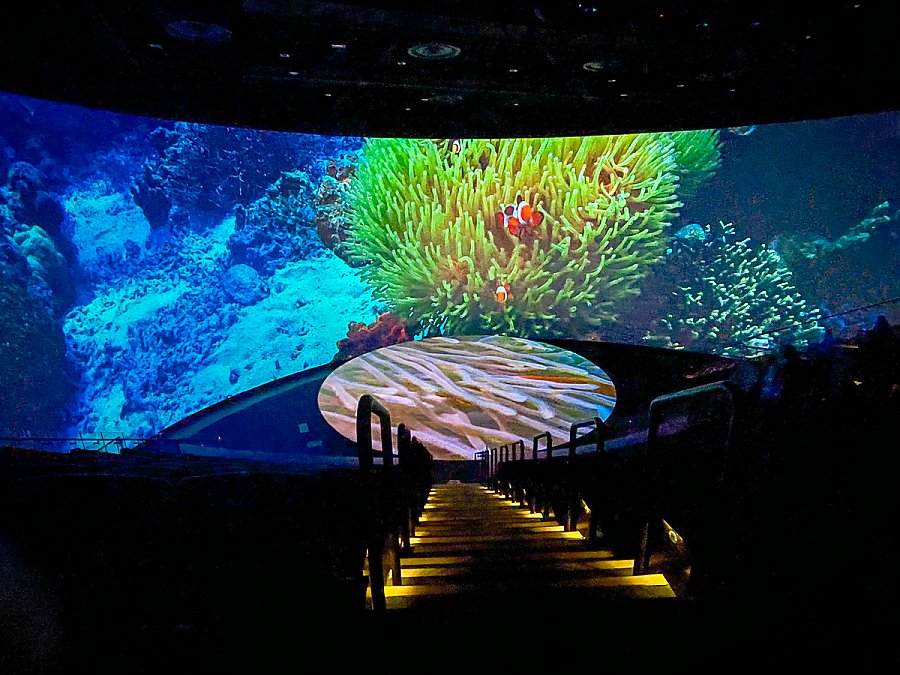 Coral Reefs film shown in Pacific Visions Theater