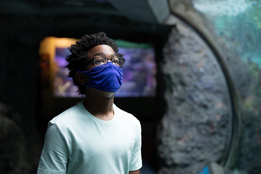 A black mask-wearing student with glasses gazes upward in the Aquarium