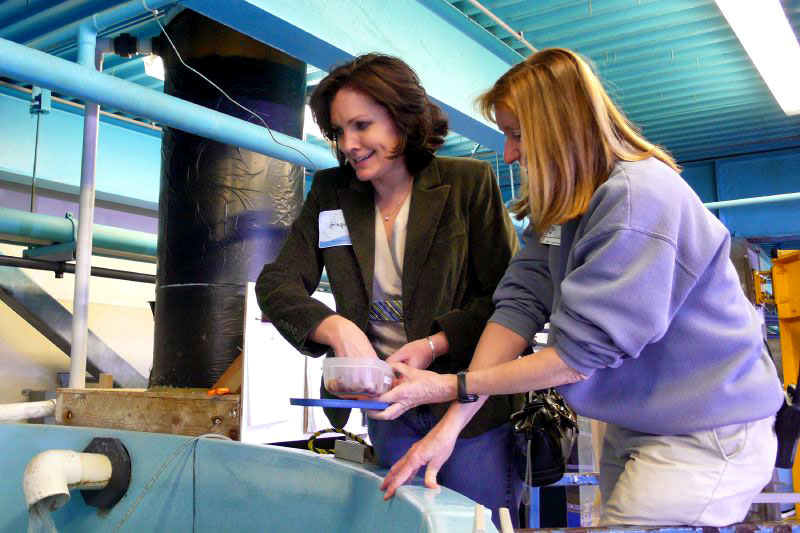 Woman feeding a tank accompanied by female staff member.