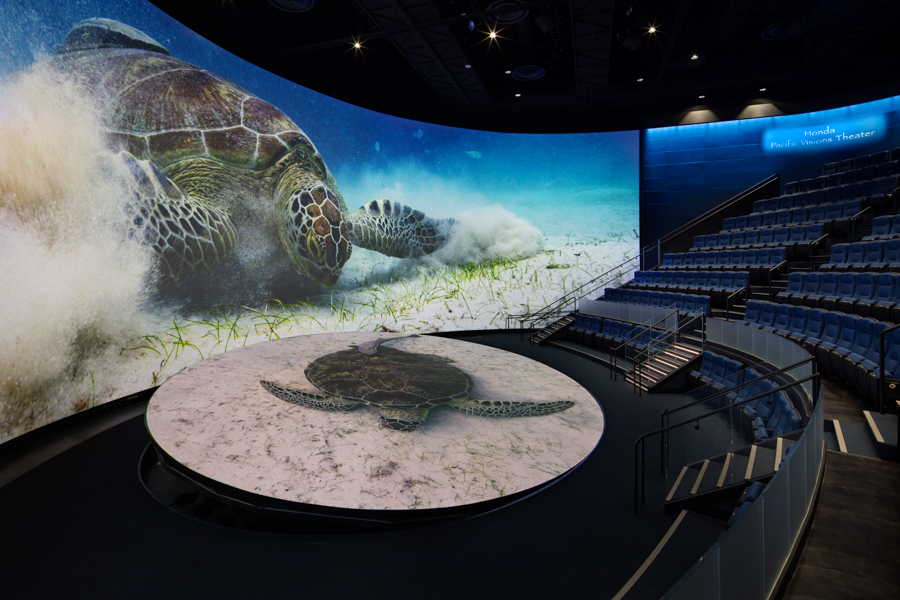 Pacific Visions Theater with Turtle